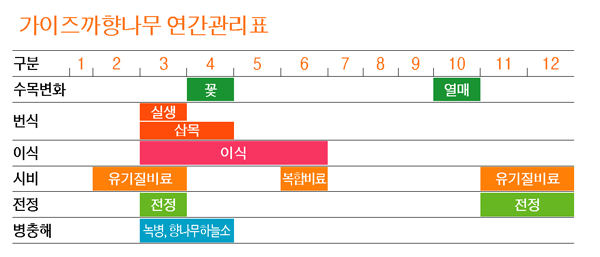 향나무 연간관리표
